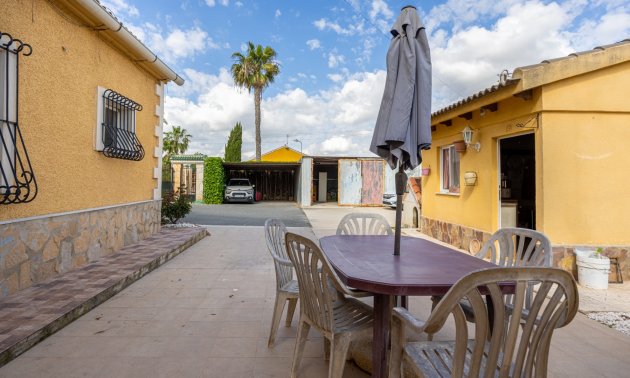 Reventa - Finca -
Elche - Elche - La Hoya
