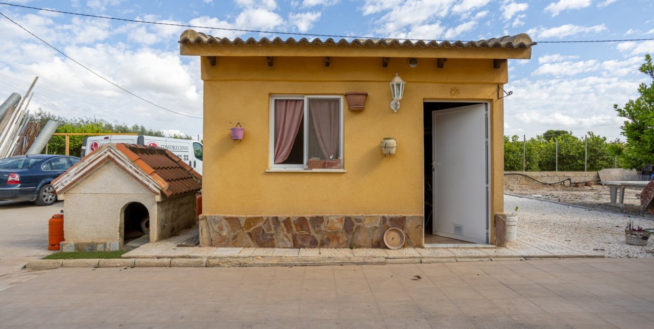 Reventa - Finca -
Elche - Elche - La Hoya