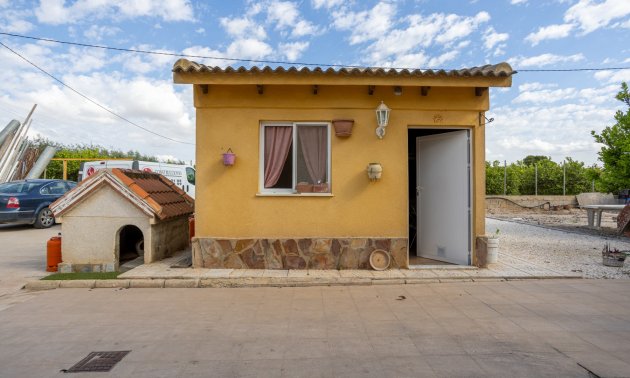 Reventa - Finca -
Elche - Elche - La Hoya