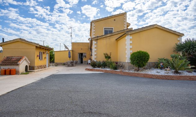 Reventa - Finca -
Elche - Elche - La Hoya