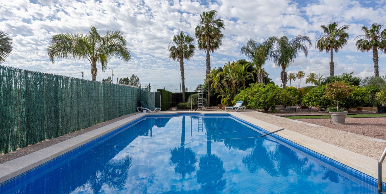 Reventa - Finca -
Elche - Elche - La Hoya