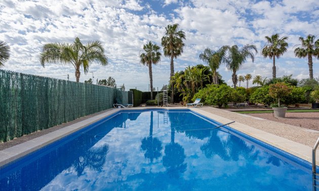 Reventa - Finca -
Elche - Elche - La Hoya