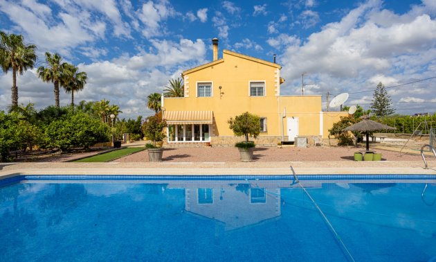 Reventa - Finca -
Elche - Elche - La Hoya