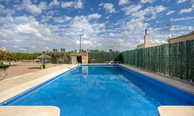 Reventa - Finca -
Elche - Elche - La Hoya