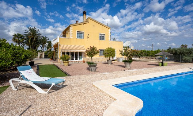 Reventa - Finca -
Elche - Elche - La Hoya