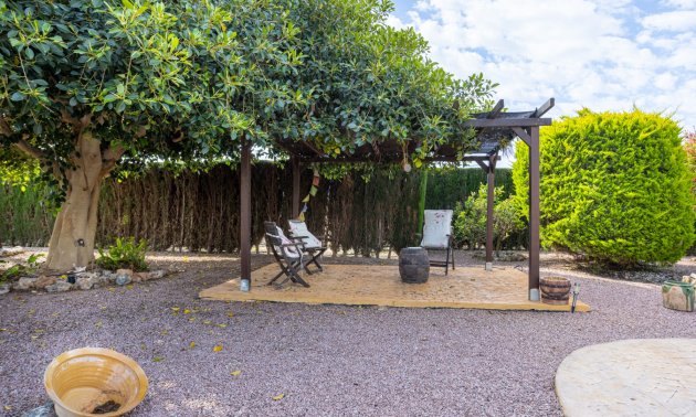 Reventa - Finca -
Elche - Elche - La Hoya