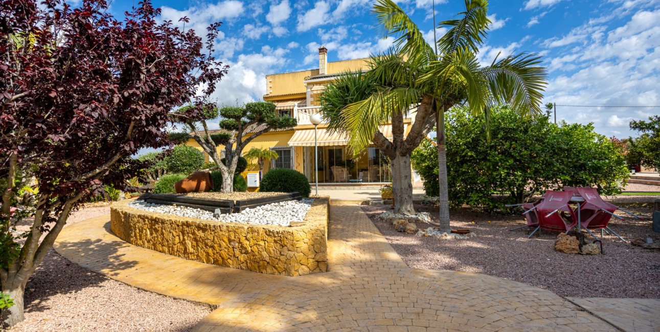 Reventa - Finca -
Elche - Elche - La Hoya