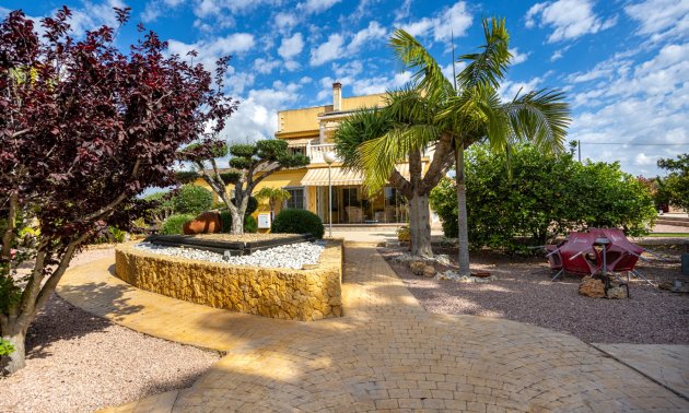 Reventa - Finca -
Elche - Elche - La Hoya