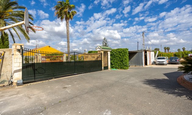 Reventa - Finca -
Elche - Elche - La Hoya