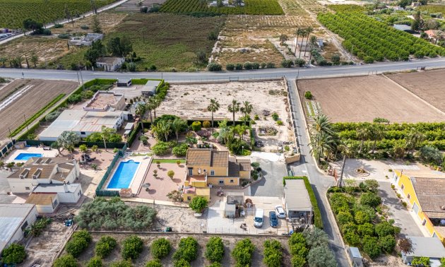 Reventa - Finca -
Elche - Elche - La Hoya