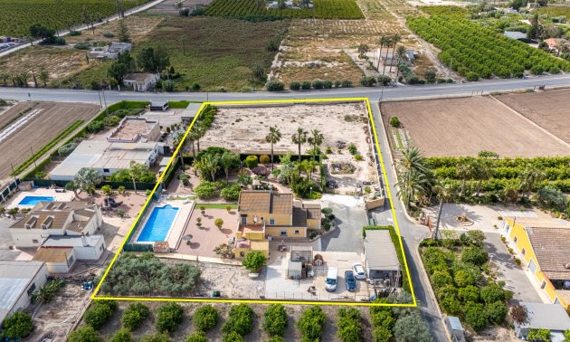 Reventa - Finca -
Elche - Elche - La Hoya