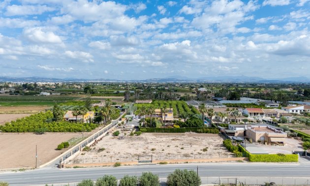 Reventa - Finca -
Elche - Elche - La Hoya