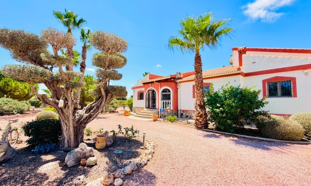 Resale - Country House -
Daya Vieja - Daya Vieja - Country