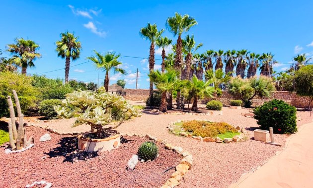 Resale - Country House -
Daya Vieja - Daya Vieja - Country