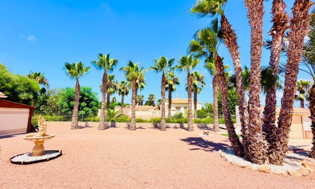Resale - Country House -
Daya Vieja - Daya Vieja - Country