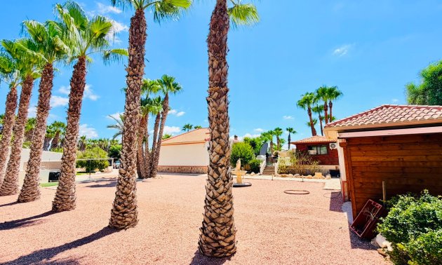 Resale - Country House -
Daya Vieja - Daya Vieja - Country