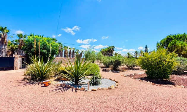 Resale - Country House -
Daya Vieja - Daya Vieja - Country