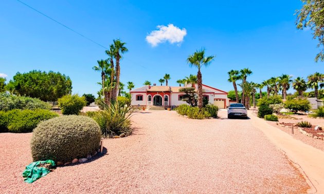 Resale - Country House -
Daya Vieja - Daya Vieja - Country