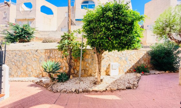 Reventa - Apartamento / piso -
San Miguel de Salinas - Las Comunicaciones