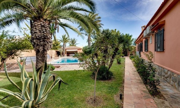 Resale - Villa -
Torrevieja - El Chaparral