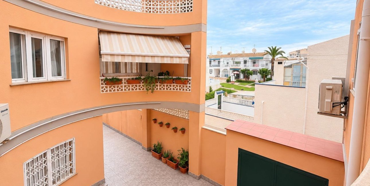 Reventa - Estudio -
Torrevieja - Estacion de autobuses