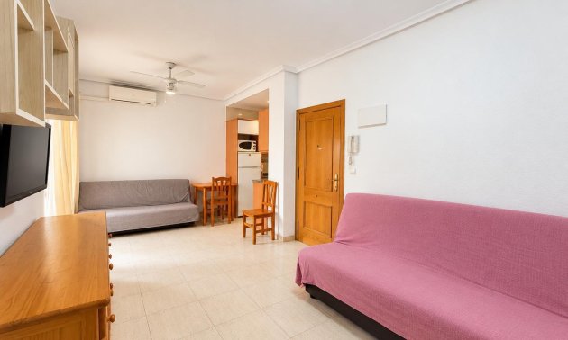 Reventa - Estudio -
Torrevieja - Estacion de autobuses