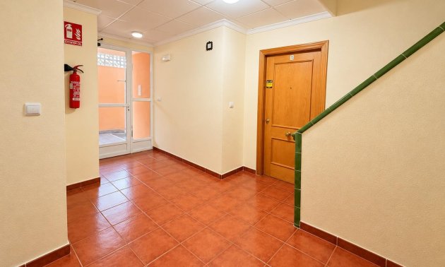 Reventa - Estudio -
Torrevieja - Estacion de autobuses