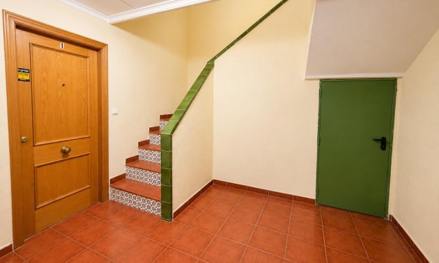 Reventa - Estudio -
Torrevieja - Estacion de autobuses