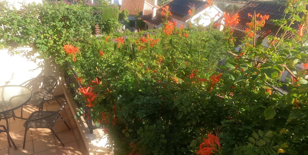 Reventa - Bungalow -
Algorfa - La Finca Golf Resort