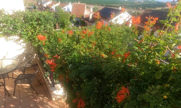 Reventa - Bungalow -
Algorfa - La Finca Golf Resort