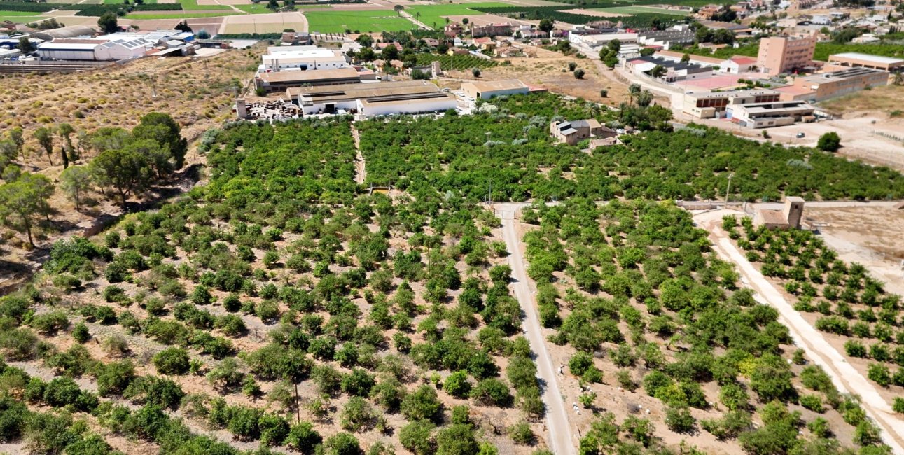 Resale - Country House -
Orihuela - Raiguero de Bonanza