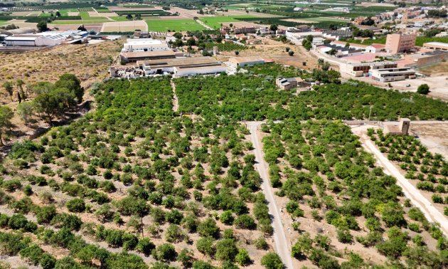 Resale - Country House -
Orihuela - Raiguero de Bonanza