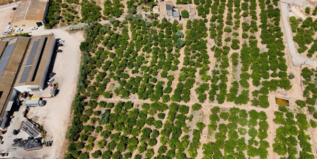 Resale - Country House -
Orihuela - Raiguero de Bonanza