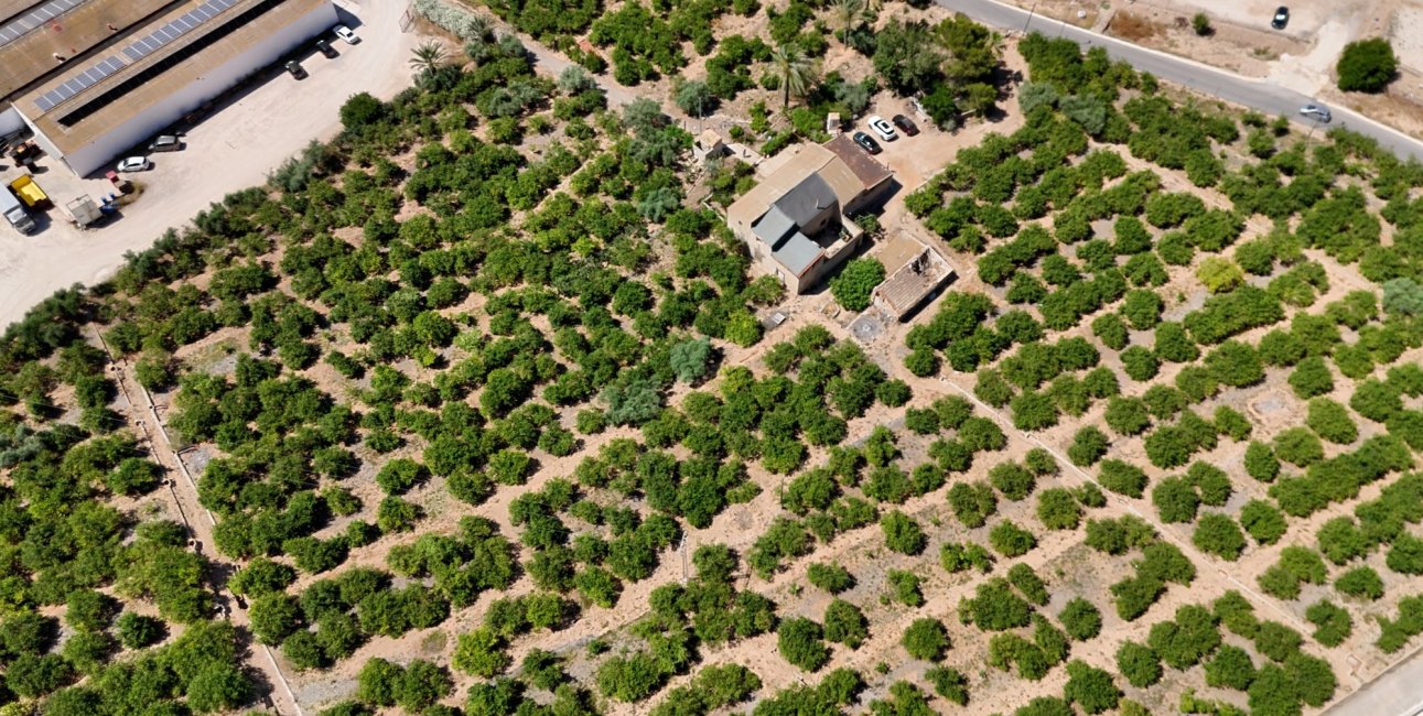 Resale - Country House -
Orihuela - Raiguero de Bonanza