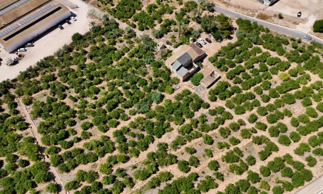 Resale - Country House -
Orihuela - Raiguero de Bonanza