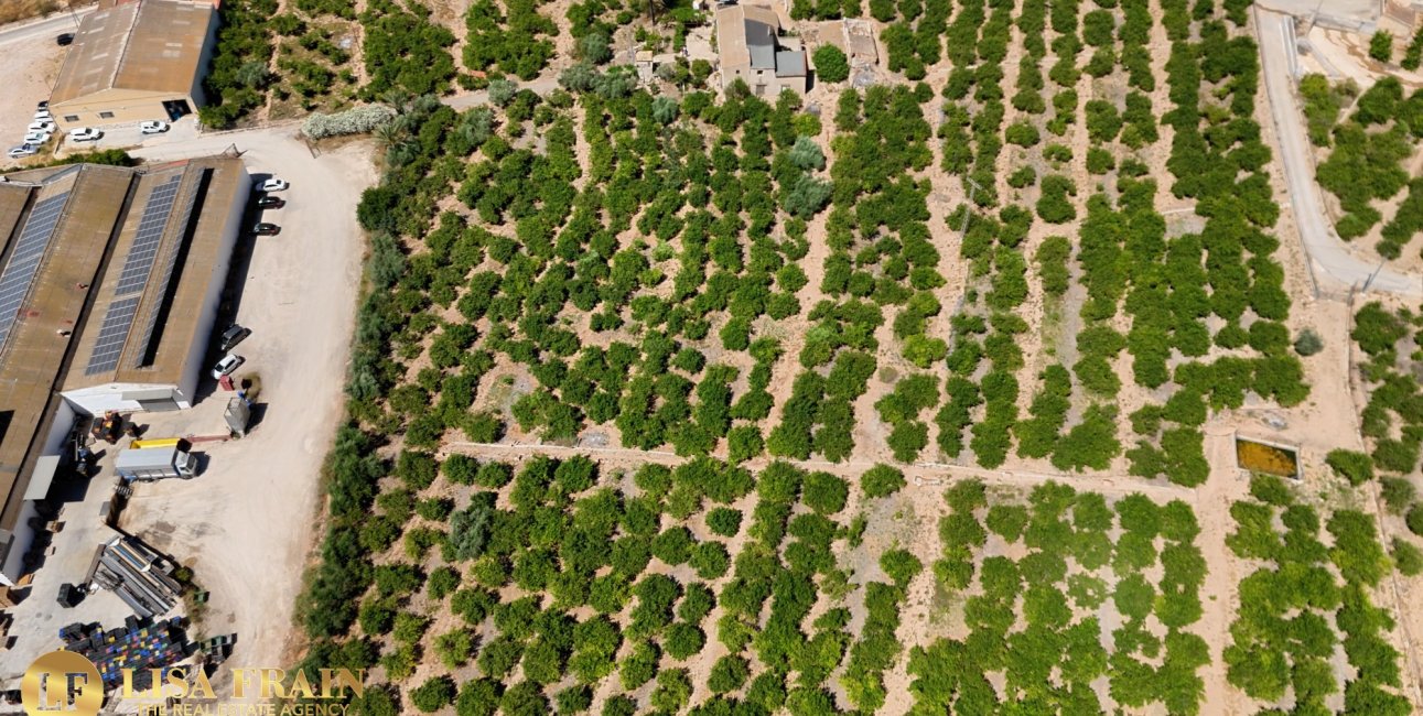 Resale - Country House -
Orihuela - Raiguero de Bonanza