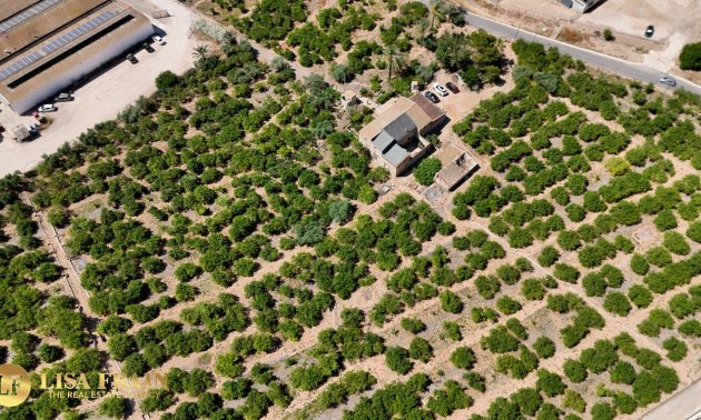 Resale - Country House -
Orihuela - Raiguero de Bonanza