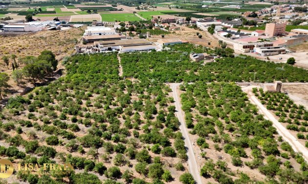 Resale - Country House -
Orihuela - Raiguero de Bonanza