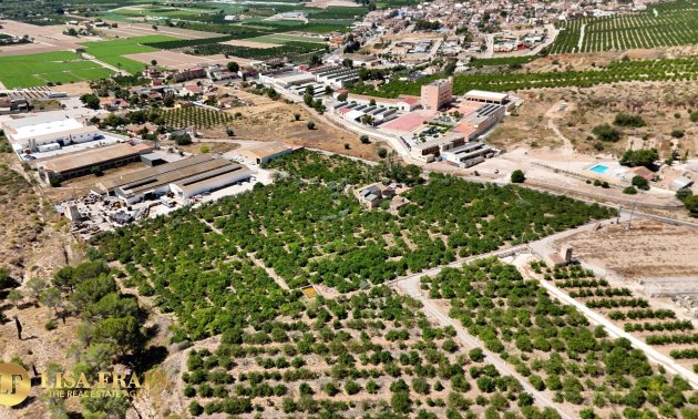 Resale - Country House -
Orihuela - Raiguero de Bonanza