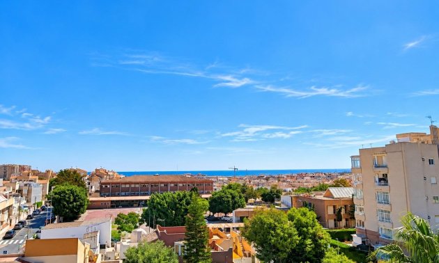 Rynek pierwotny - Mieszkanie  -
Torrevieja - Nueva Torrevieja