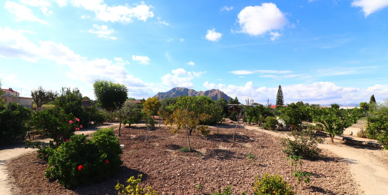 Reventa - Finca -
Rafal - El Mudamiento