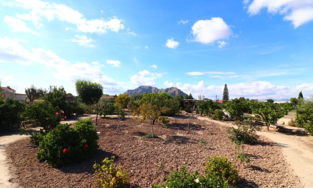 Reventa - Finca -
Rafal - El Mudamiento