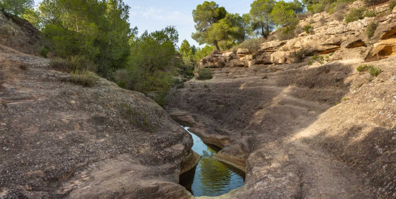 Resale - Bungalow -
Algorfa - La Finca Golf Resort