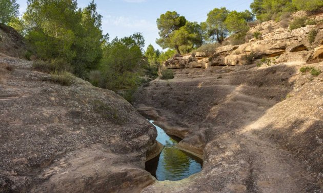 Resale - Bungalow -
Algorfa - La Finca Golf Resort