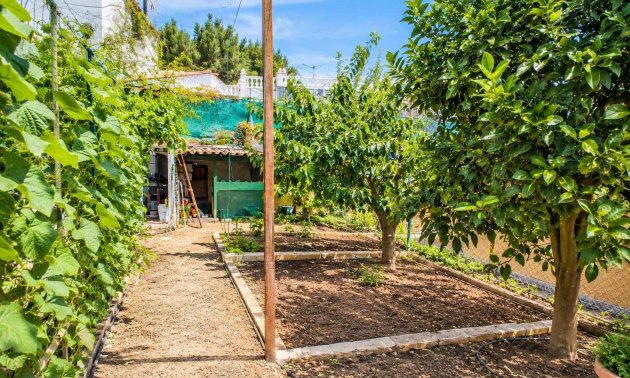 Resale - Villa -
San Miguel de Salinas - Ciudad De Las Comunicaciones