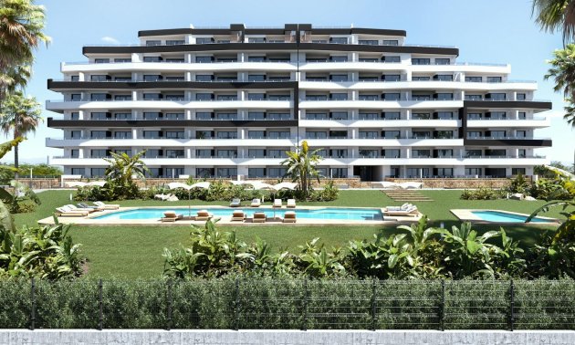 New Build - Apartment / flat -
San Miguel de Salinas - Pueblo