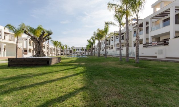 New Build - Bungalow -
Torrevieja - Los Balcones - Los Altos del Edén