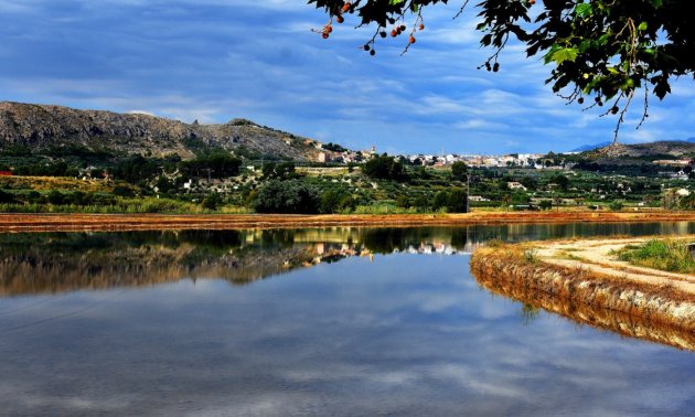 New Build - Villa -
Calasparra - Coto Riñales