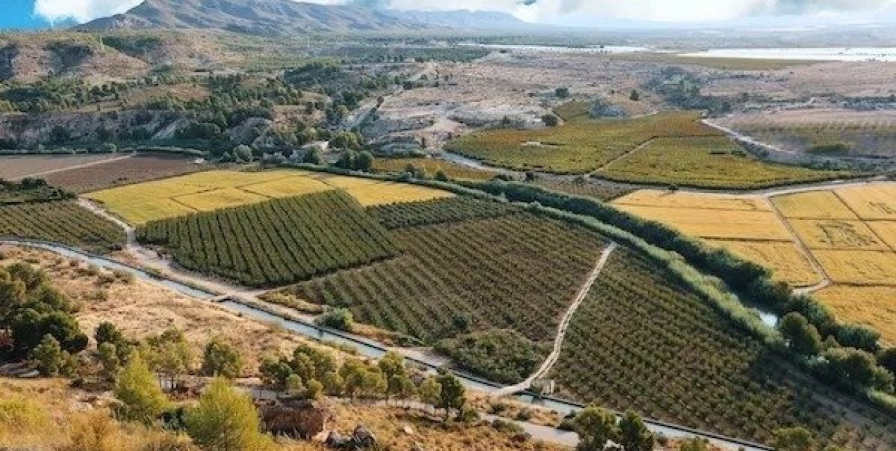 New Build - Villa -
Calasparra - Coto Riñales