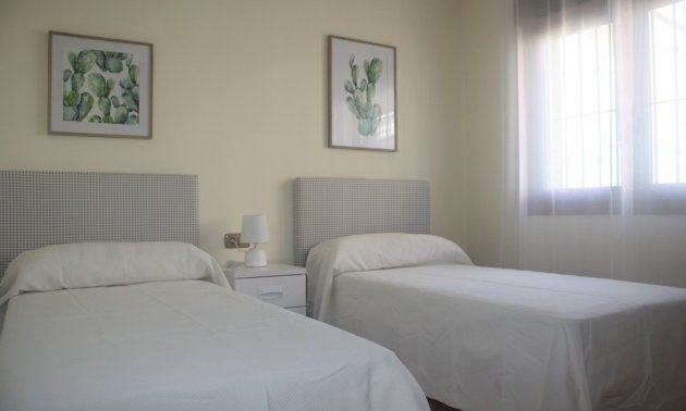 New Build - Villa -
Torrevieja - Los Balcones - Los Altos del Edén
